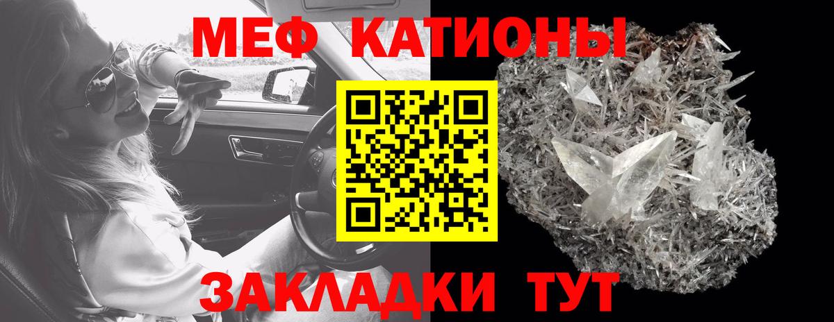 Жуковский  Меф  МЯУ-МЯУ  МЯУ-МЯУ мяу мяу  Вход с VPN 